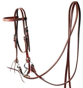 Complete Headstall