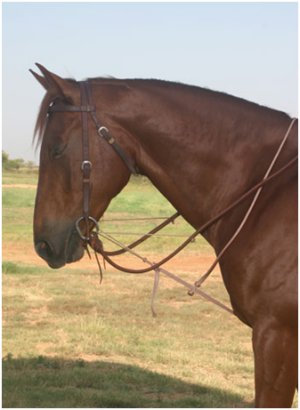 Rope German Martingale with Complete Rigging: Headstall, Bit & Reins