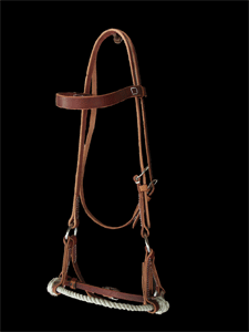 Harness Leather Headstall w/Training Bosal - Jeffers