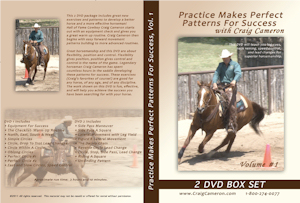 Practice Makes Perfect DVD Set