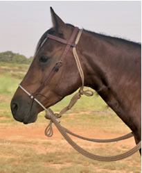 3/8 Inch Single-Nose Rope Hackamore