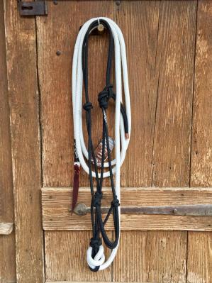 Halter & Lead Combo