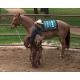 Premium Performance Saddle Pads Sage/Turquoise 3