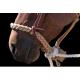 Loping Hackamore-Soft Braided