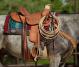Craig Cameron Rancher Cowboy Saddle Style 650   1